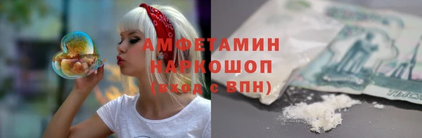 apvp Белокуриха