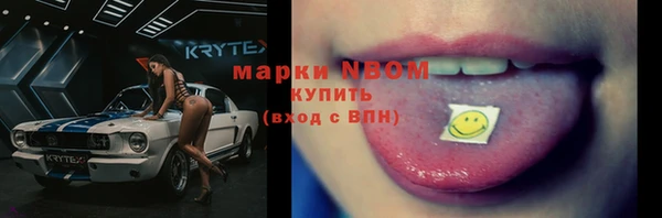 apvp Белокуриха