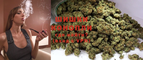 apvp Белокуриха